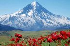 ۱۳ تیر در ایران روز ملی دماوند است.